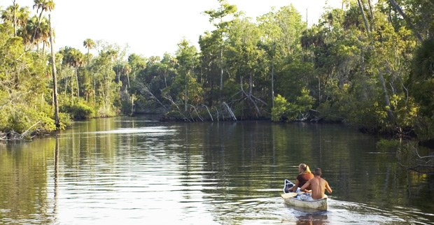 Wake, Paddle & Roll